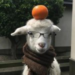 何建明的头像-熵减岛