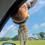 储能老兵的头像-熵减岛