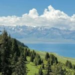 冯工的头像-熵减岛