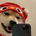 刘洋的头像-熵减岛