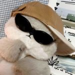 刘锋的头像-熵减岛