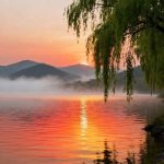 周峰的头像-熵减岛