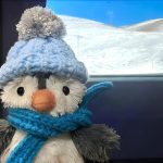 张琦的头像-熵减岛