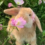 彭蕾-阿里巴巴的头像-熵减岛