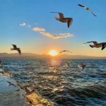 徐工的头像-熵减岛