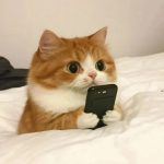 徐静-中创碳投的头像-熵减岛