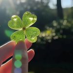 朱琳的头像-熵减岛