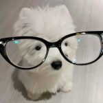 核能之心的头像-熵减岛