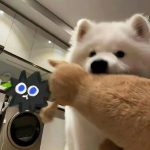 海绵宝宝的头像-熵减岛