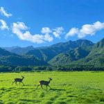 王海的头像-熵减岛