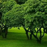 绿建通的头像-熵减岛