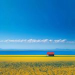 董教授的头像-熵减岛