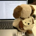 薛定谔的猫的头像-熵减岛