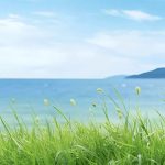 陈工-北京低碳院的头像-熵减岛