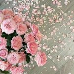 韩梅梅的头像-熵减岛