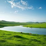 高碳汇的头像-熵减岛