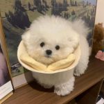 黄娟的头像-熵减岛