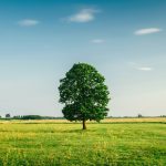 碳路先锋的头像-熵减岛