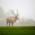 相得益张的头像-熵减岛