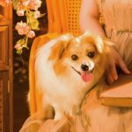 轻碳生活家的头像-熵减岛