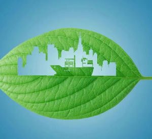 文澜的头像-熵减岛