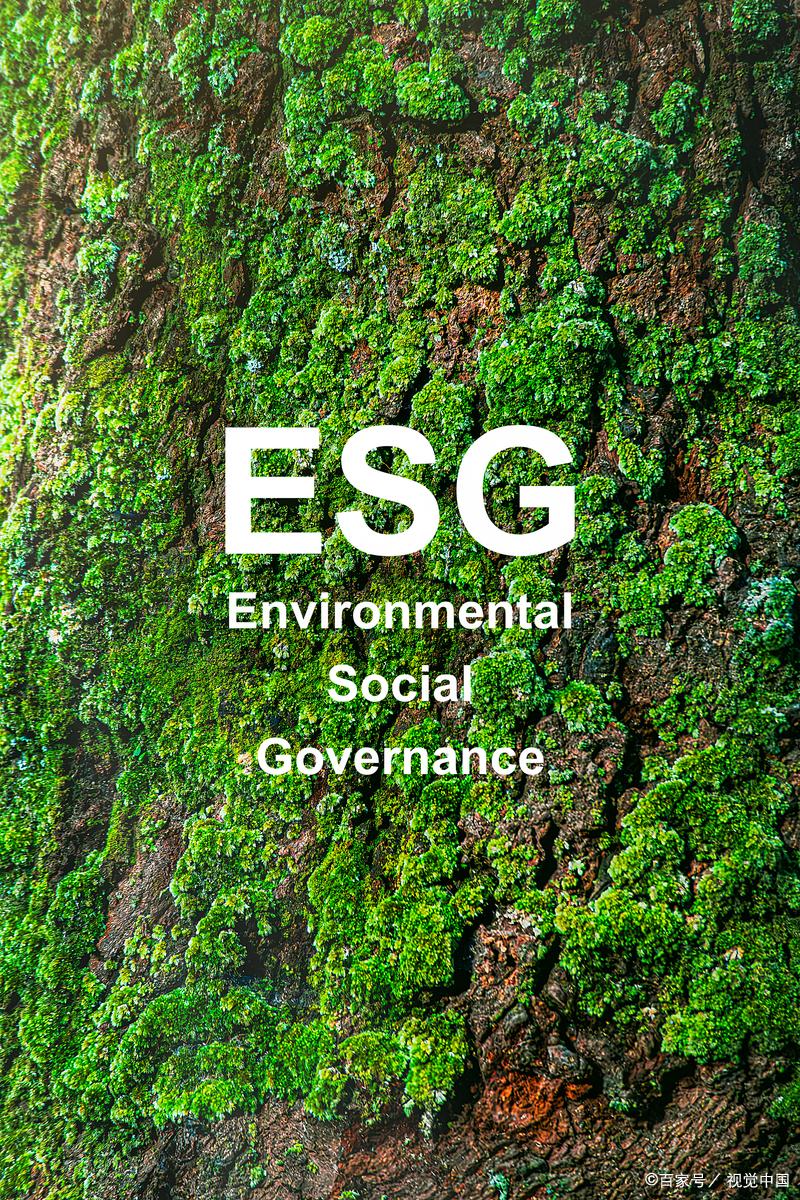 论坛话题  ESG方法论-熵减岛