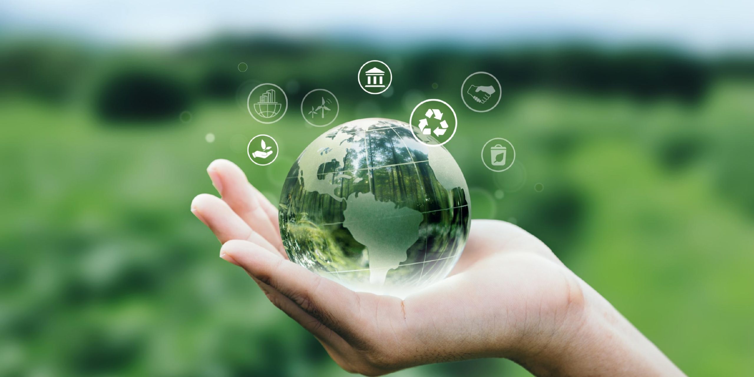 论坛话题  双碳政策研讨-熵减岛