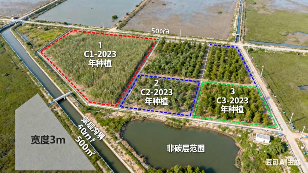 CCER解读系列--滨海盐沼植被修复-熵减岛