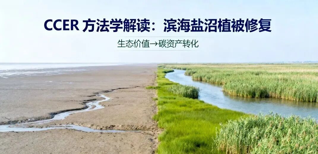 eb71c37d72157161522967168bb19e8e