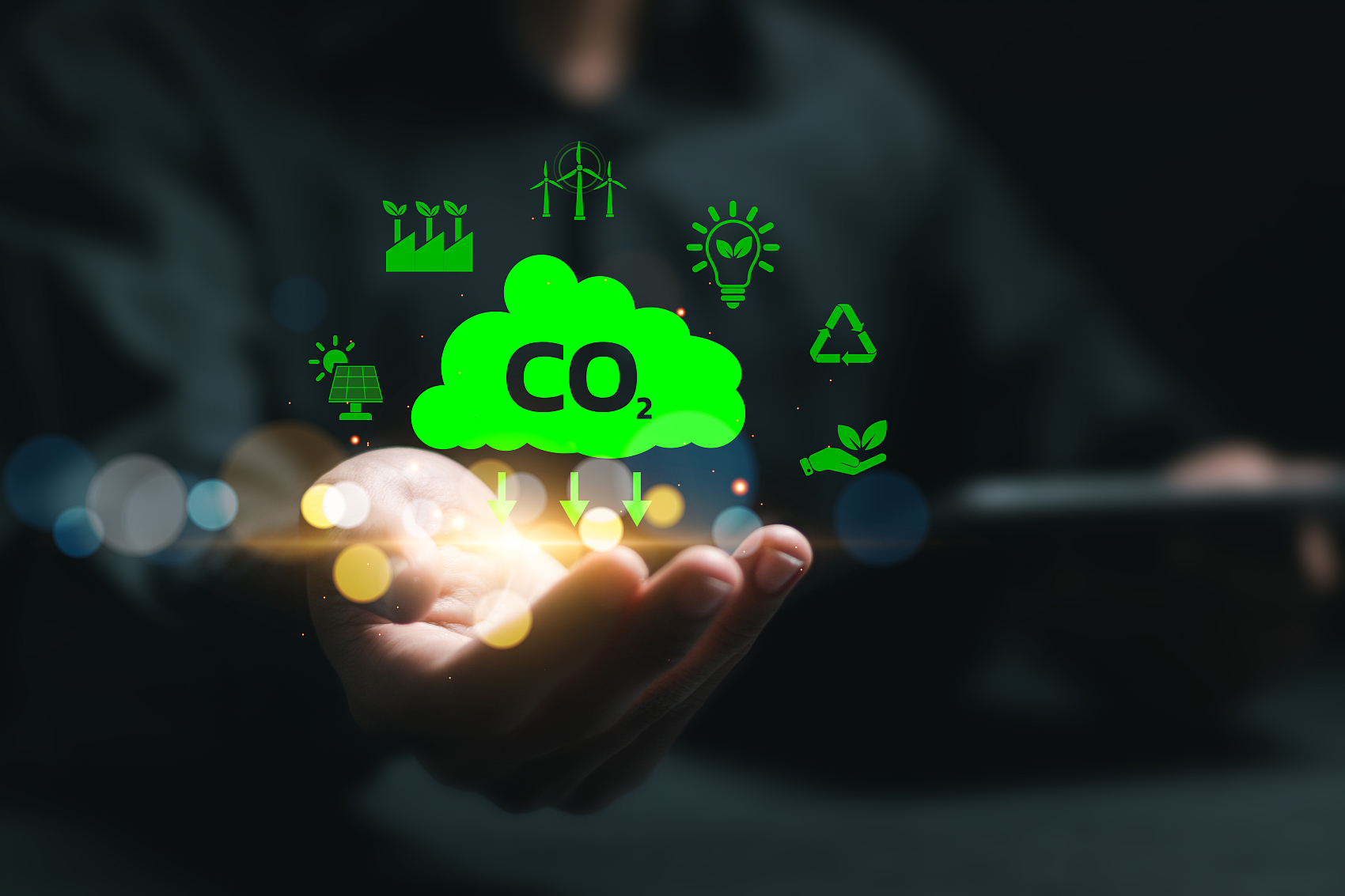 论坛话题  碳资产项目开发-熵减岛