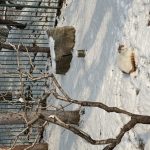 第十三月的头像-熵减岛