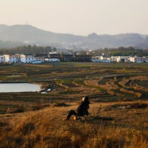 谭谈双碳的头像-熵减岛
