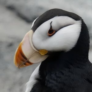 DAT_explorer的头像-熵减岛