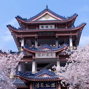 零碳智谷的头像-熵减岛