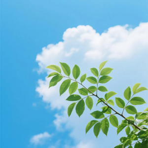 能碳生活家的头像-熵减岛