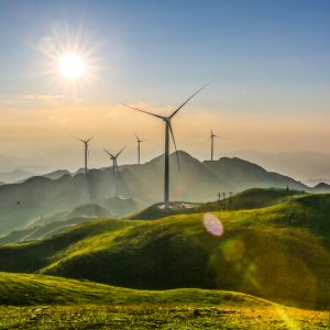 K bro的头像-熵减岛