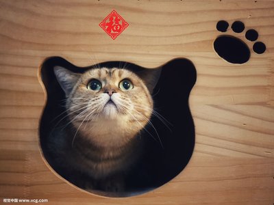 论坛话题  哪些双碳业务能落地？-熵减岛