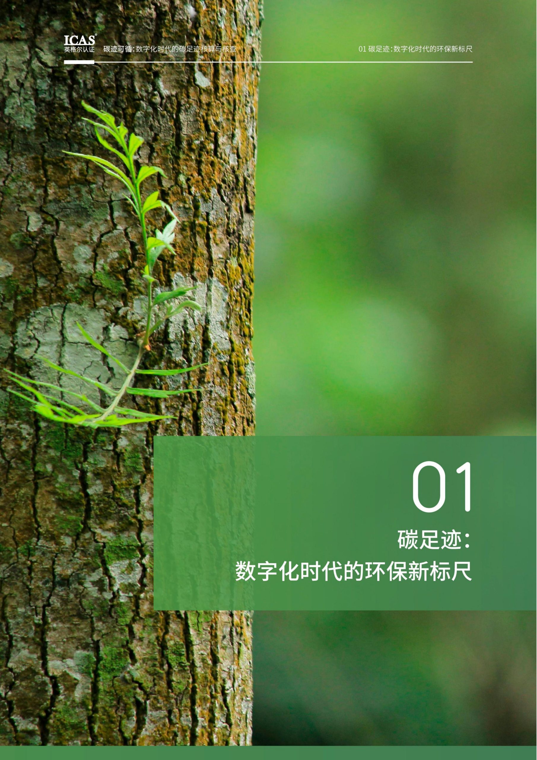 20260211095319191-碳迹可循-数字化时代的碳足迹核算与核查_5