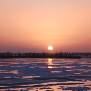 carbon的头像-熵减岛