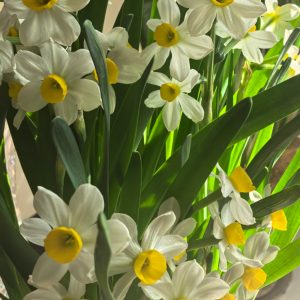 小鱼儿的头像-熵减岛