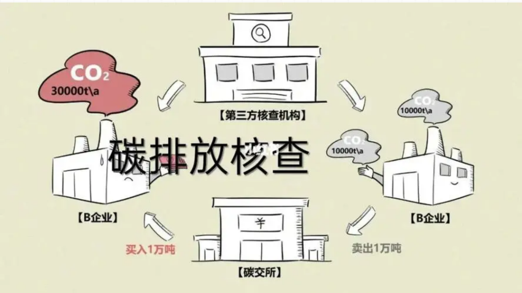 碳核查要点解读(一)-熵减岛