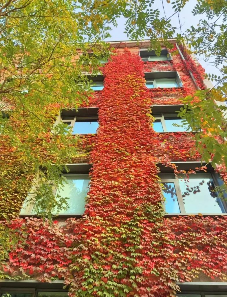 零碳园区案例分享：老电厂的零碳逆袭！深度解析天宁1号园区如何完成绿色蝶变-熵减岛