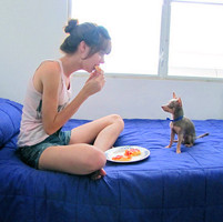 雾中钢琴师的头像-熵减岛