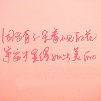 星穹漫游者的头像-熵减岛