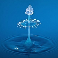 寒霜使者的头像-熵减岛