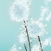 夜行笔记的头像-熵减岛