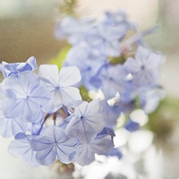 睡梦星的头像-熵减岛