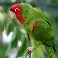 宇宙拾贝者的头像-熵减岛