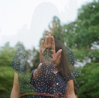 暖阳小熊的头像-熵减岛