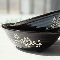 无畏之心的头像-熵减岛